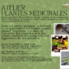 ATELIER CULTUREL  | CULTURAL WORKSHOP Plantes médicinales | Medicinal plants